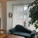 목화약국 이미지