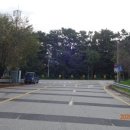 마국산로 이미지