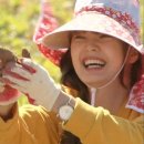 재석농장 이미지