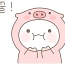희희술집 이미지