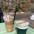 피콕빌리지 펜션 네이버블로그
