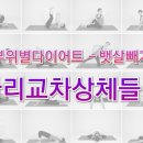 건강다이어트체조 이미지