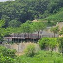 루트113 베이스캠프 | 울산 삼동면 대형 캠핑장 합성데크 3, 4구간 시공 완료