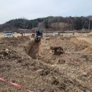 풀스테이스테이펫홍천 이미지