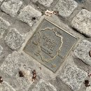 (주)코리아세븐 남산자이하늘점 | JTBC 트레일코리아 서울 한양도성길 한번에 완주 후기 (인왕, 북악, 남산, 낙산) + 의외의 벚꽃명소