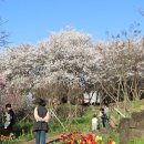 우정주유소 | 제주렌트카 타고 떠나는 우정여행! 진짜 찐친들과의 4박 5일