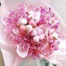 상록자이언트 이미지