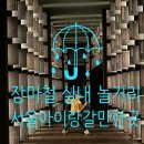 이화여자대학교 자연사박물관 | 장마철 가볼만한 곳! 서울 비 오는 날 실내 데이트&amp;아이랑 놀 곳 총정리