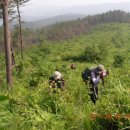 팔봉중학교 이미지