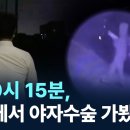 [유튜브] 밤 10시 15분, 숙소에서 야자수숲 가봤더니 / 채널A / 뉴스A 이미지
