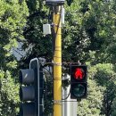 Square 181 이미지