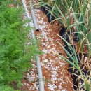 춘천기상대 이미지