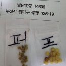 별난훈장님 토마토와 고추 이미지