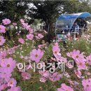 북새통노래광장