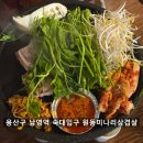 원동1 | 용산구 남영역 숙대입구역 맛집 [원동미나리삼겹살] 서울역 근처 고기집 추천
