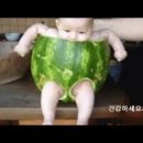 다이놀핀웃음치료센터 네이버블로그