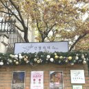 서대문구 연희동 필라테스 스튜디오 추천 선필라테스 자연속 웰니스 필라테스 만족 후기