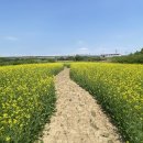 현천배수펌프장 이미지