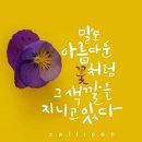 스타다육
