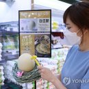 롯데마트 서초점 이미지