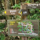 노고록이 | 제주 서귀포 치유의 숲: 노고록무장애나눔길 오멍숲길 코스 따라 걷는 고요한 하루, 예약 방법, 주차 등...