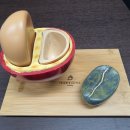 커피체리 이미지