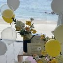 어달을 담다 이미지