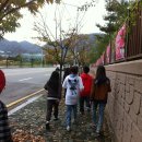 정관초등학교 이미지