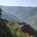 ‘수죽사’에서 비로 인해 하루 묵음 [ 水竹寺滯雨 ] 이미지