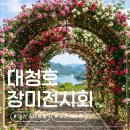 01-41 동구 | 대전 데이트 여기 아니면 어디? 2026 대청호 장미전시회 축제 기본정보