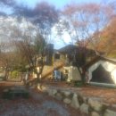 초원숲속가든 이미지