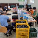 광산구 장애인보호작업장 이미지