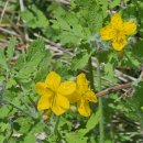 승안2리 마을회관 이미지