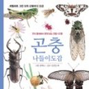 모두의곤충 이미지