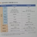 그럼에도 나는 아파트를 사기로 했다/2020/박성혜