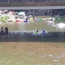 피서농장 이미지