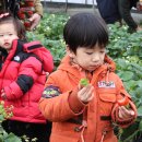 재영농장 이미지