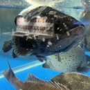 희망수산 이미지