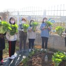 금호농자재 이미지