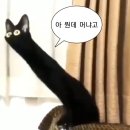 나인걸 이미지