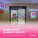 야탑선약국 네이버블로그