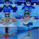 스위스키즈베이 이미지