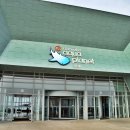 오션 아레나 이미지