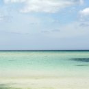 바다그림 이미지