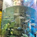 섬진강어류생태관 이미지