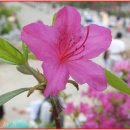 부천종합운동장 이미지