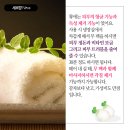 한강메디칼코리아 이미지