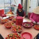 승리농장 이미지