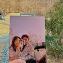 용문농협 단월주유소 이미지