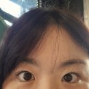 미스두바이직영주유소 | 익산 속눈썹펌 신동 이구네일 뷰티에서 하고 왔어요